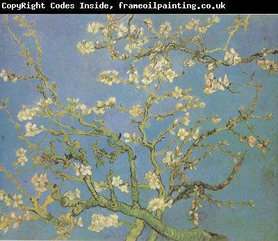 Vincent Van Gogh Blossoming Almond Tree (nn04)